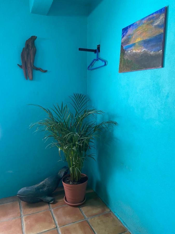 Casa Xochitl Panzió El Centenario Kültér fotó